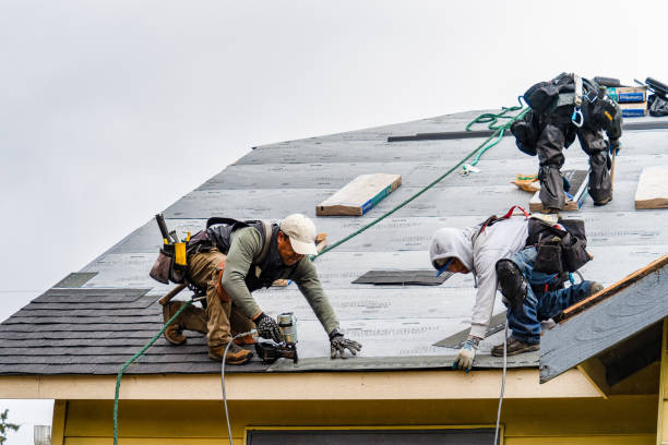 Professional Roofing technician working in Bloomfield, NY